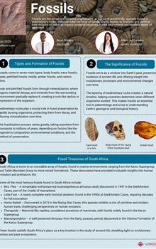 Fossils